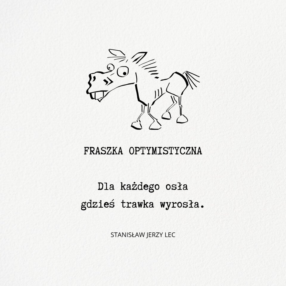 fraszka.jpg - WildPony