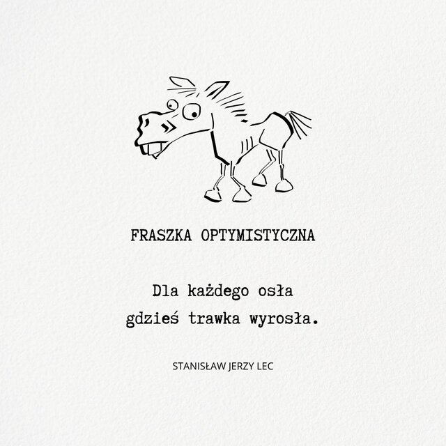 WildPony