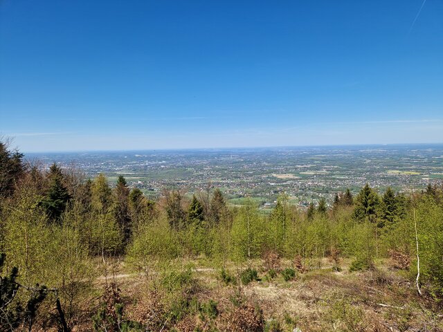 SlawekBie