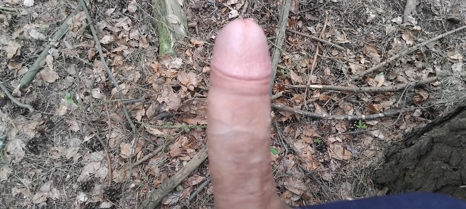 Dziczyzna ;) - Brunet_963