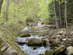 IMG_5115.jpeg