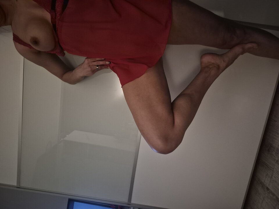 15197.jpg - Parafit2