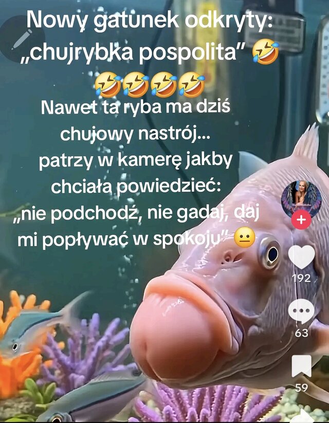 BezpanskaS