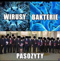 Cwaniacy.jpg