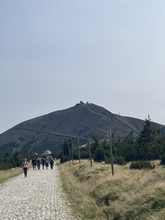 IMG_4752.jpeg