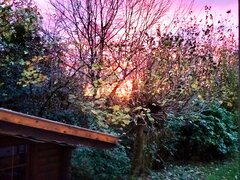 IMG_20251031_071138.jpg