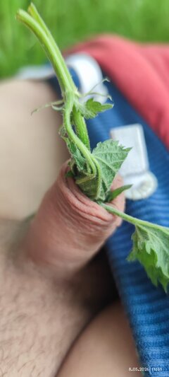 IMG_20260508_113139.jpg