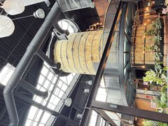 IMG_6503.jpeg