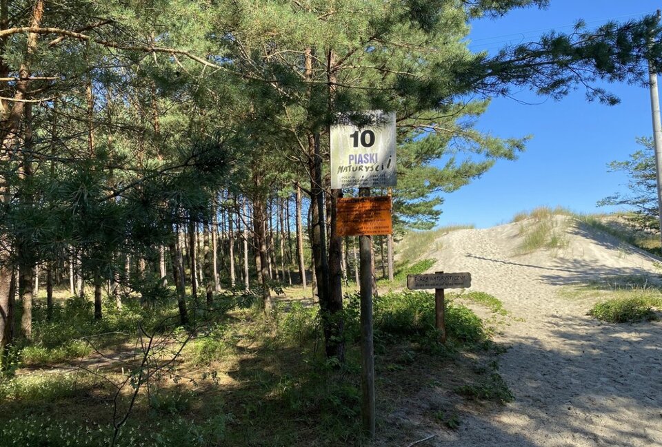 Piaski.jpeg - Pawel_dr