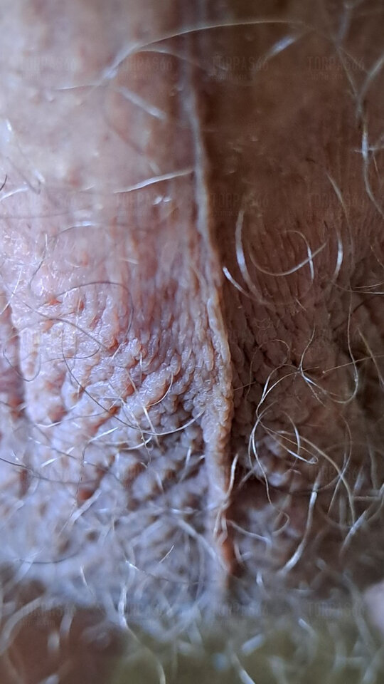 7003.jpg - torpas66