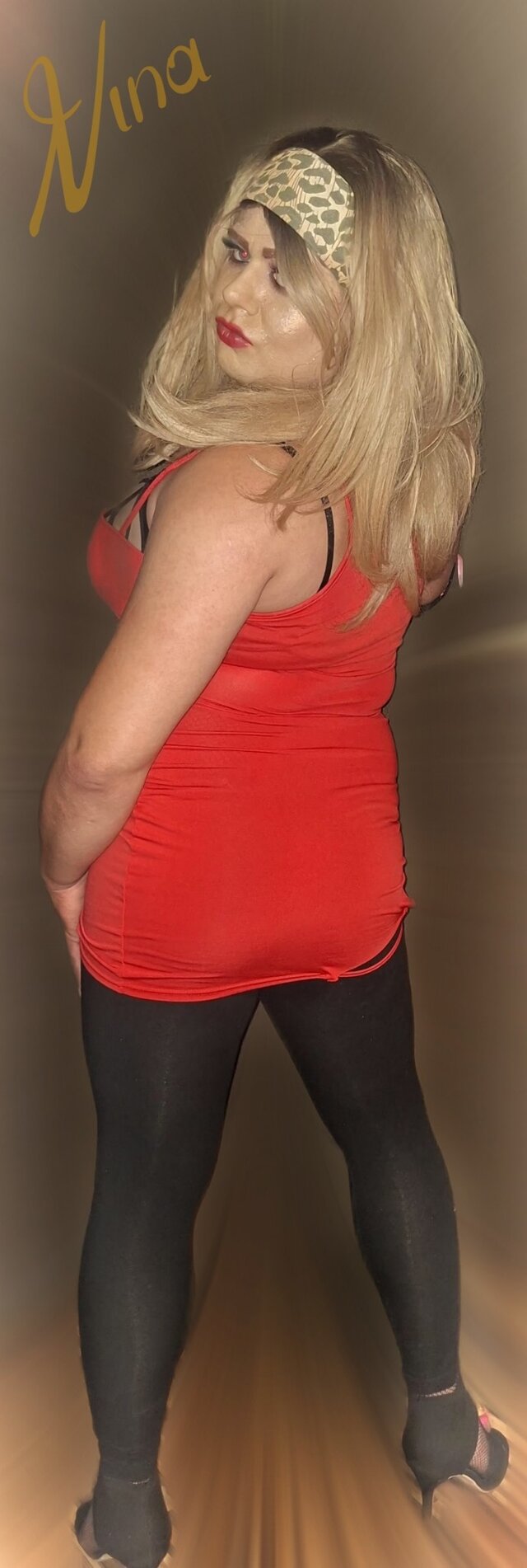 NinaTransCD