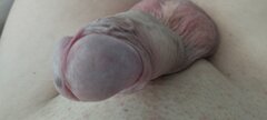 IMG_20260509_070451.jpg