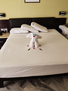 3240.jpg