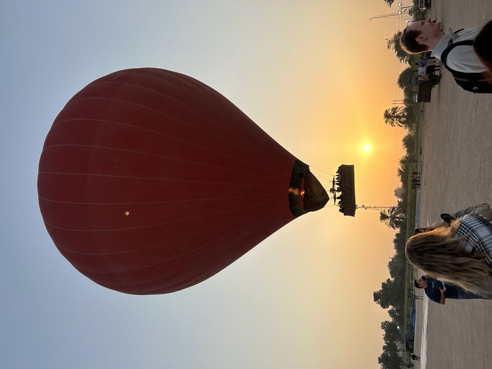 IMG_3556.jpeg - tom745