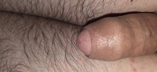 robin266