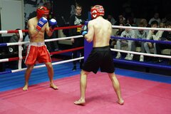 walka bokserska.jpg