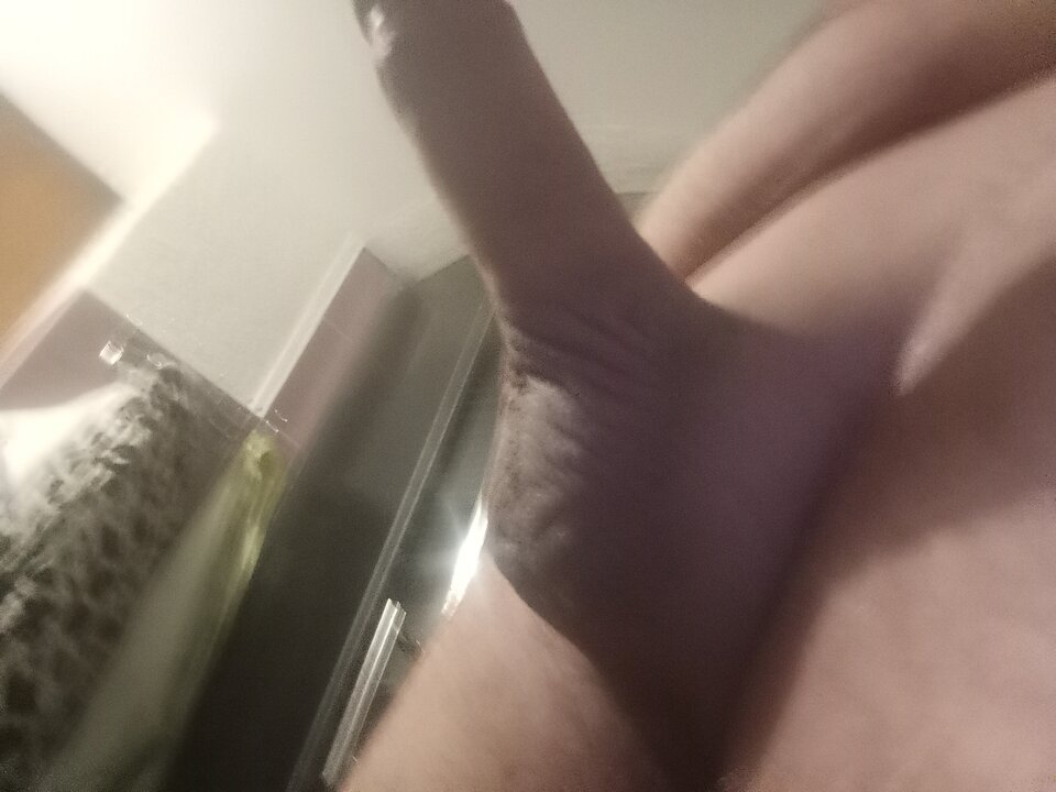 1000000817.jpg - Misiek10001