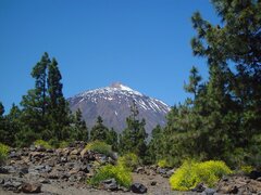 DSC05032.JPG