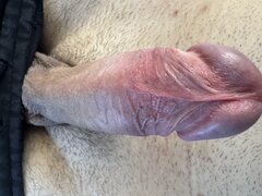 IMG_8530.jpeg