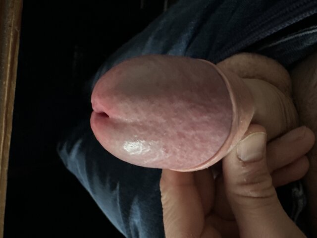 micoangelo1
