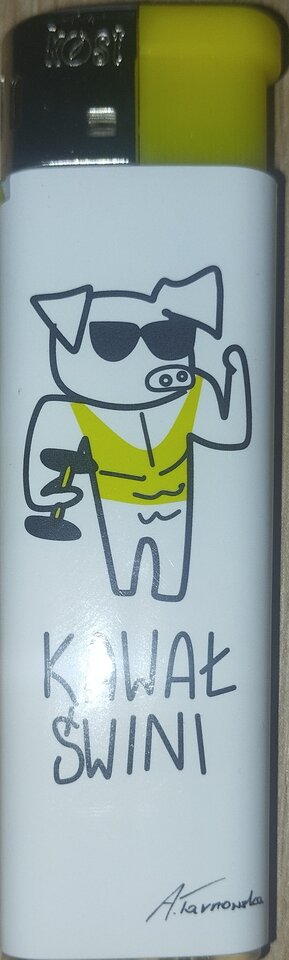 1000018413.jpg - swiniakpiotr