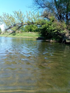 IMG_20260510_152455_7.jpg
