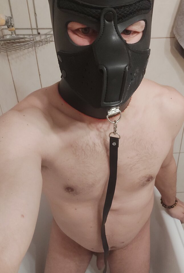 20260511_023907.jpg - Slavedog80