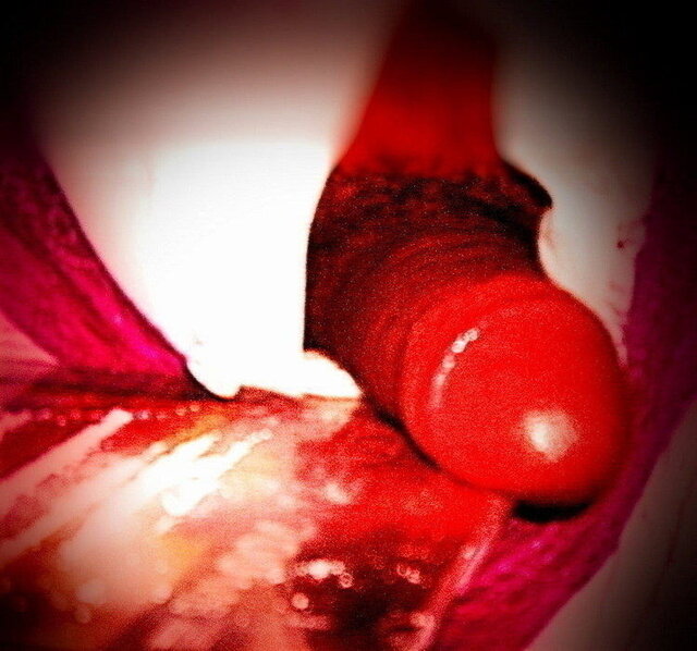 2323232_09.jpg - Wielbiciel86squirtuWwa