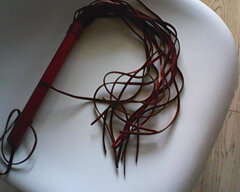 7676_09.jpg