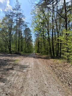 1000002575.jpg
