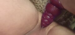 20260511_114449.jpg