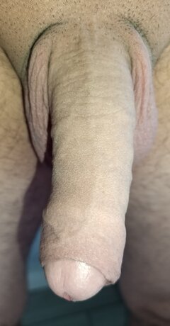3190.jpg
