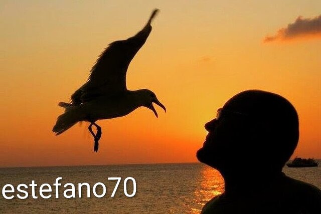 estefano70