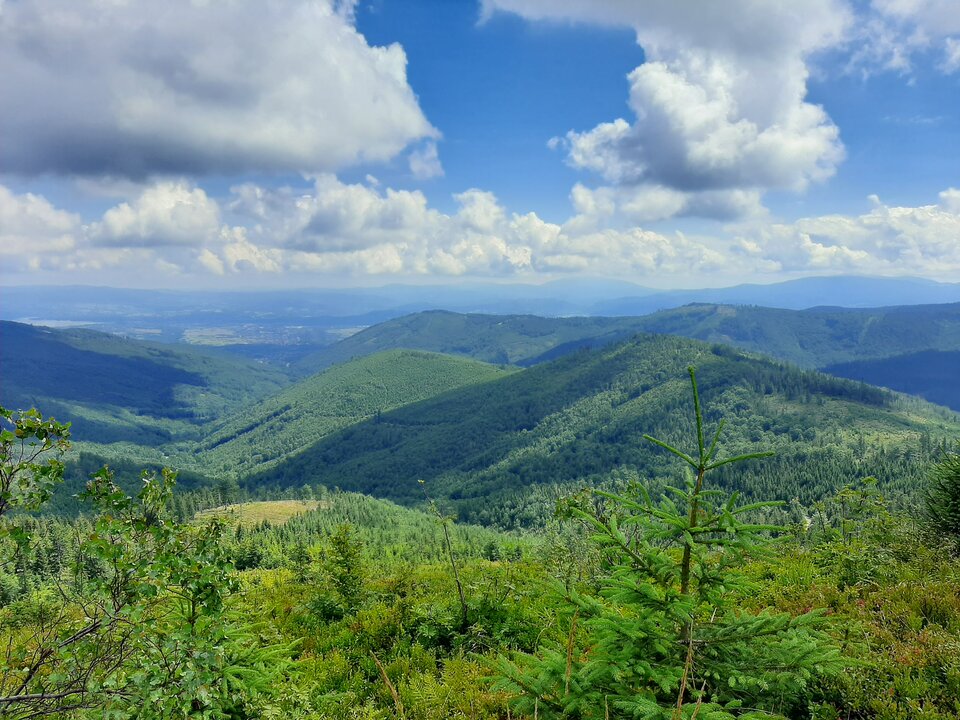 20230810_121724.jpg - ZR69