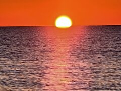 IMG_1287.jpeg