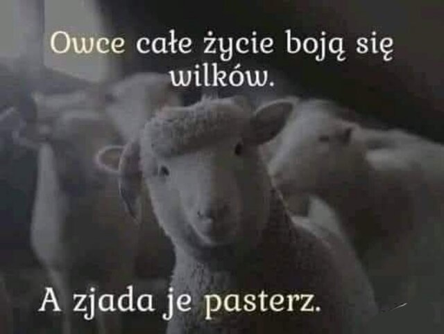 Pozdrówmy wyborców .jpg - FrancoFranceska