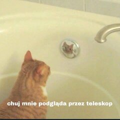 IMG_7312.jpeg