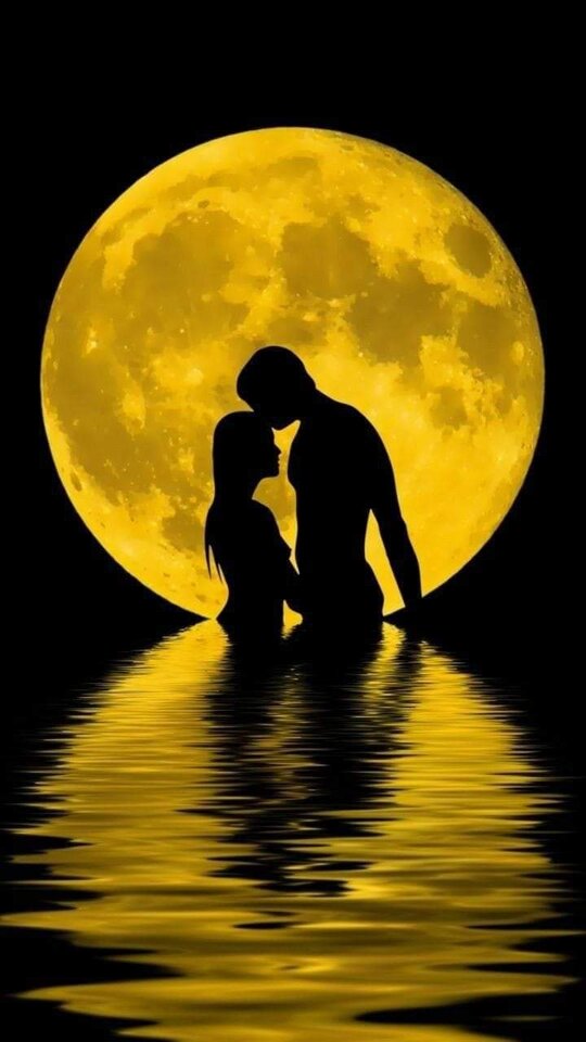 FB_IMG_1715023172292.jpg - Xliveparka