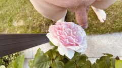 IMG_7150.jpeg