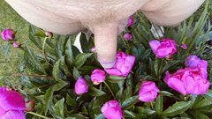 IMG_7147.jpeg