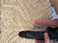 IMG_3255.jpeg