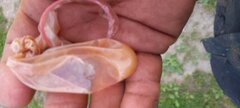 20260513_191604.jpg