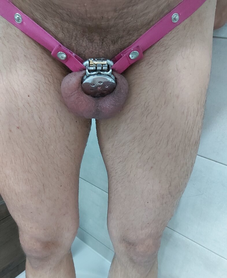20260514_014923.jpg - Slavedog80