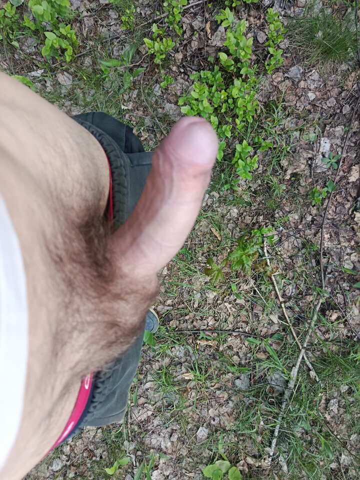 1000007564.jpg - pldarek