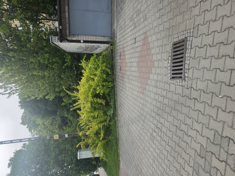 1000026729.jpg - Paczek77j
