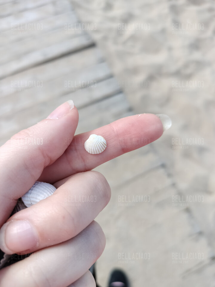 Małe jest piękne 😍 - BellaCiao3