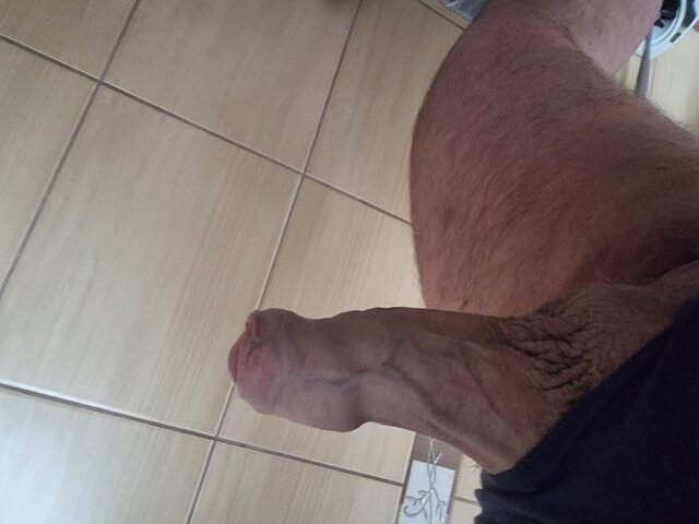 NowyBI77