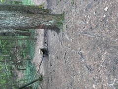 IMG_4044.jpeg