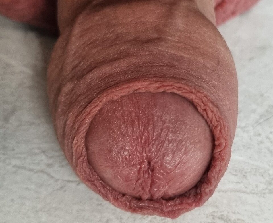 skorka4.jpg - Alan7