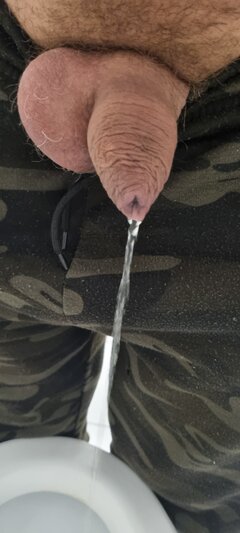 1000096461.jpg
